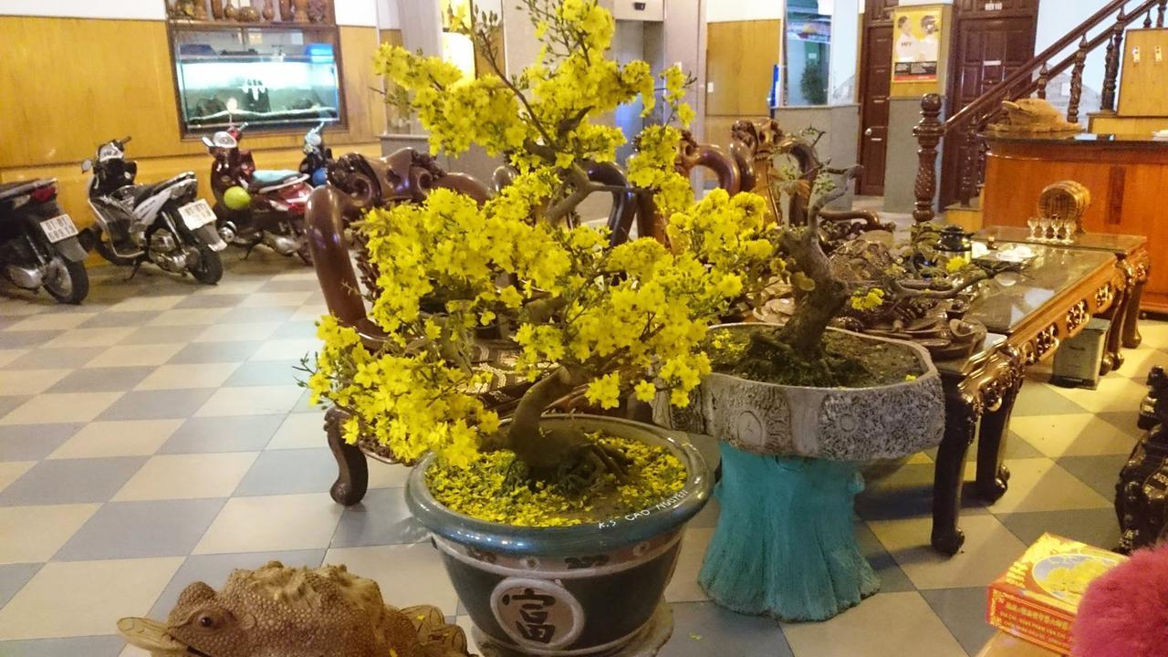 Cao Nguyen Hotel Плейку Экстерьер фото